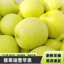 现摘陕西白水瑞雪苹果高端青苹果带玫瑰香当季新鲜脆甜孕妇水果