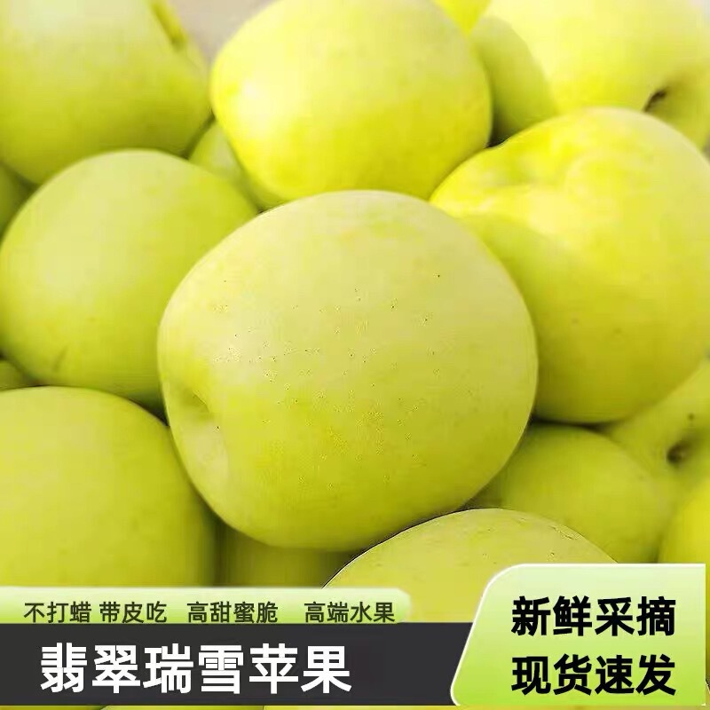 Freshly Picked Shaanxi Baishui Ruixue Apples, Classy Green Apples with Rose Fragrance, Seasonal Fresh Crispy and Sweet Fruits for Pregnant Women