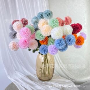 4�^��շ��滨 Ī�λ��@ƹ�Ҿջ�c��Y���b�·�����ŏS�����l