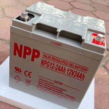 ԭb 12V24AHNPG12-24 NPP늳NP12-24 늙zwƿ