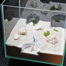 �~�׵�ɳ�ߵ͵��ηָ����������С�������B�쾰�[���ݸ��b�ɽ