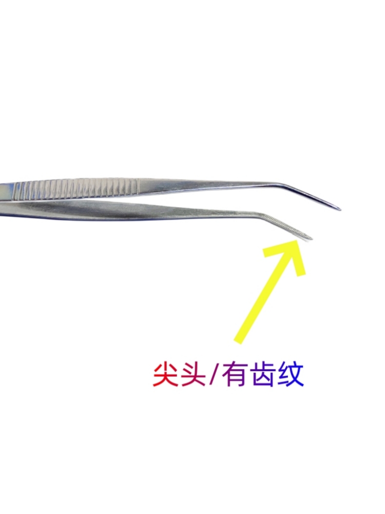 ✅尖头弯头有齿纹镊子不锈钢加厚加长20CM防滑牙齿检查夹子工