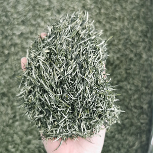 2026���²� �Ĵ��Ű�ë����~ ��ǰ���~ ɢ�b �G�����l ë����~