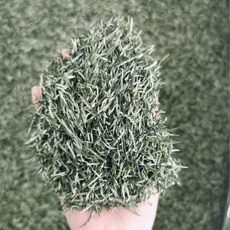 2026 New Tea Sichuan Ya'An Maojian Tea Leaves Pre-Rain Tea Loose Leaf Tea Green Tea Wholesale Maojian Tea Leaves