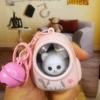 Starry sky, backpack, kitten