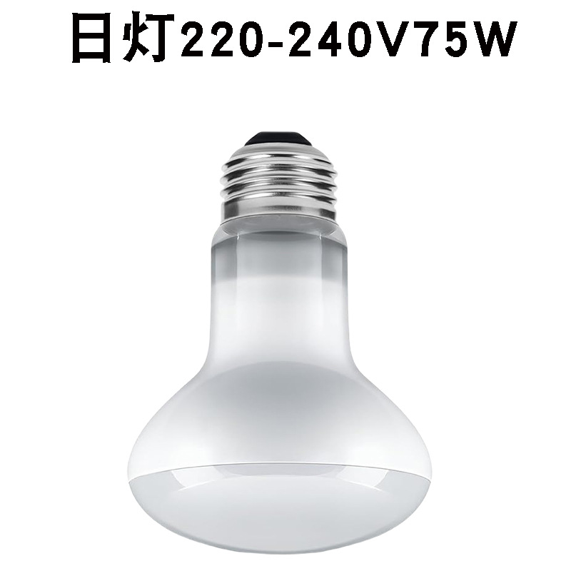 R63220v 주광등 75w