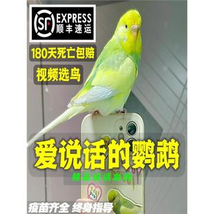 ��Ƥ�W�^���B���fԒ�����B�W�^���^����С�B���B���w�����^�p�B�