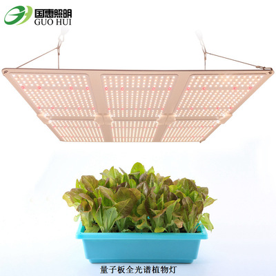全光谱量子板植物灯 600W量子板植物生长灯 LED量子板植物补光灯|ru