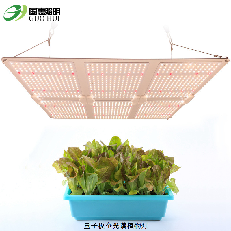 全光谱量子板植物灯 600W量子板植物生长灯 LED量子板植物补光灯|ru