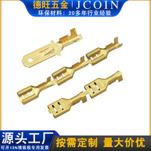 批发250端子镀锡直条连带6.3插簧端子 250母端接线端子