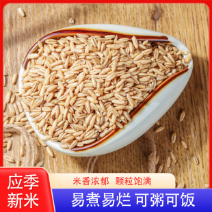 ��������ȫ��ѿ����s�Z��؛�ּZ���������������������500g