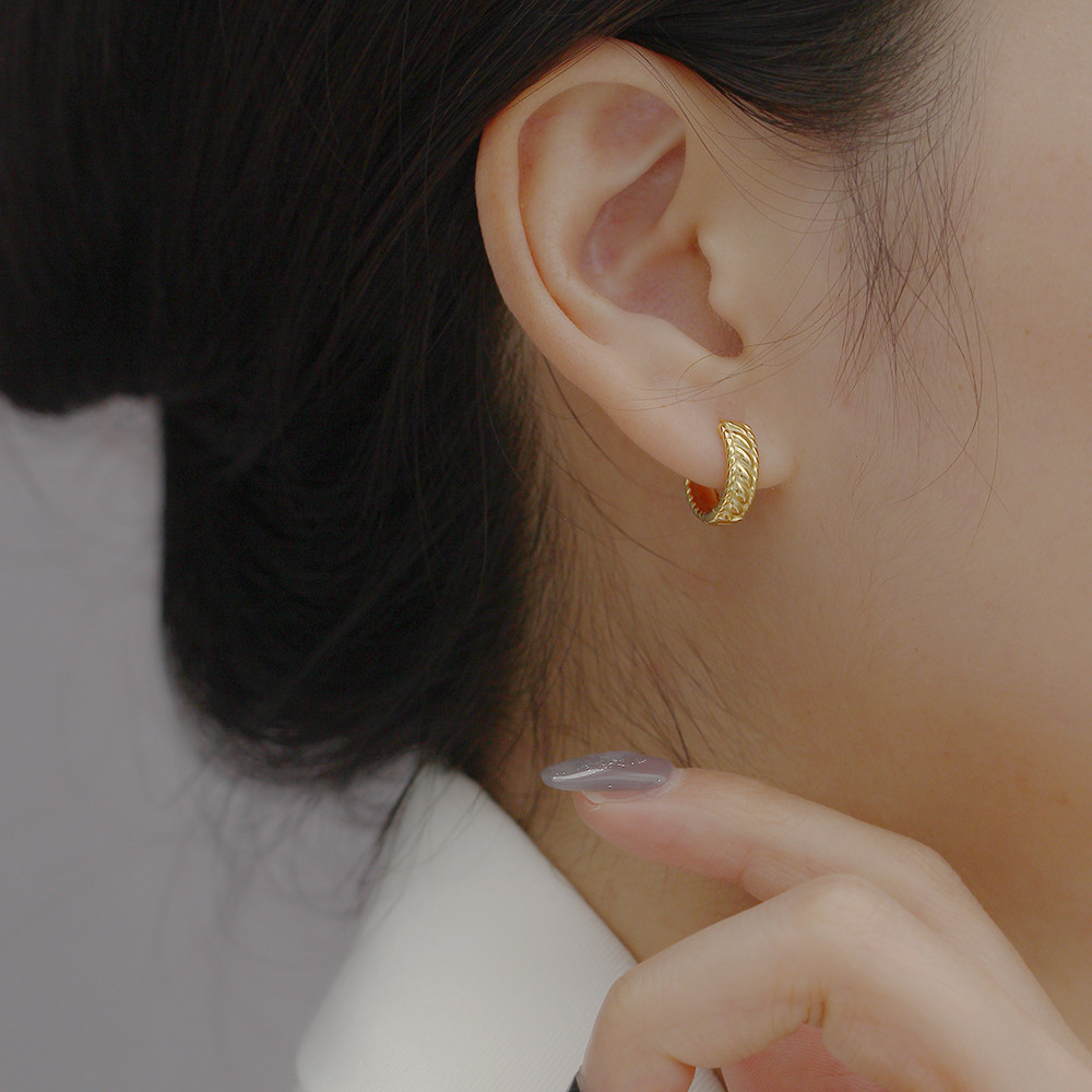 Casual Geometric Sterling Silver Plating Earrings 1 Pair