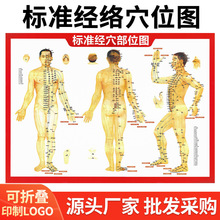 人体经络穴位图全身大挂图 艾灸养生馆穴位图针灸艾灸图艾条厂家