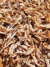 �r���Օ�o�}�S�ɸ�؛�Sɽ���Aɽ�خaҰ��̼������S���S�zë�SƬ