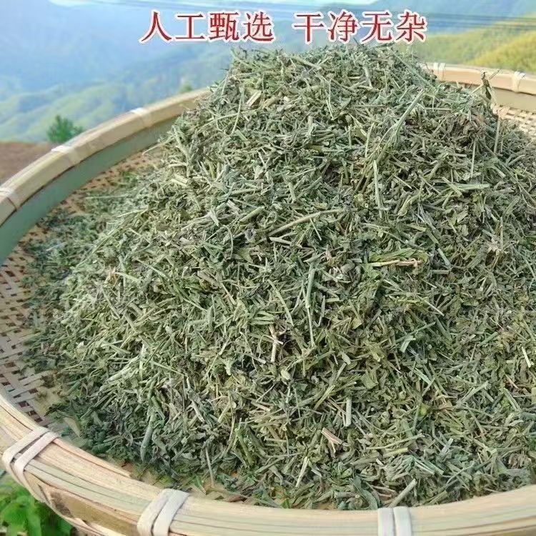 Tou Gu Cao透骨草 Dried Whole Herb Sichuan Origin Traditional External Herbal Use 500g key features