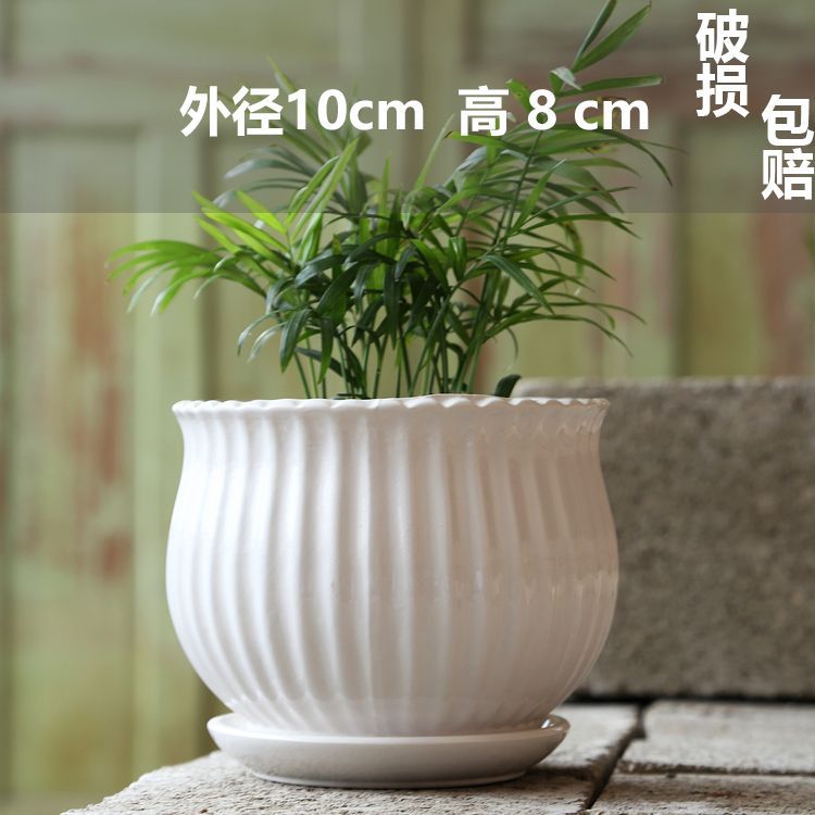 Pure white art (ceramic tray in one)