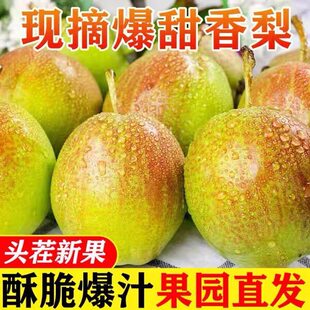 ���ںӱ�7̖����3/5���b���r����ˮ���������Ӽt��������ѩ����