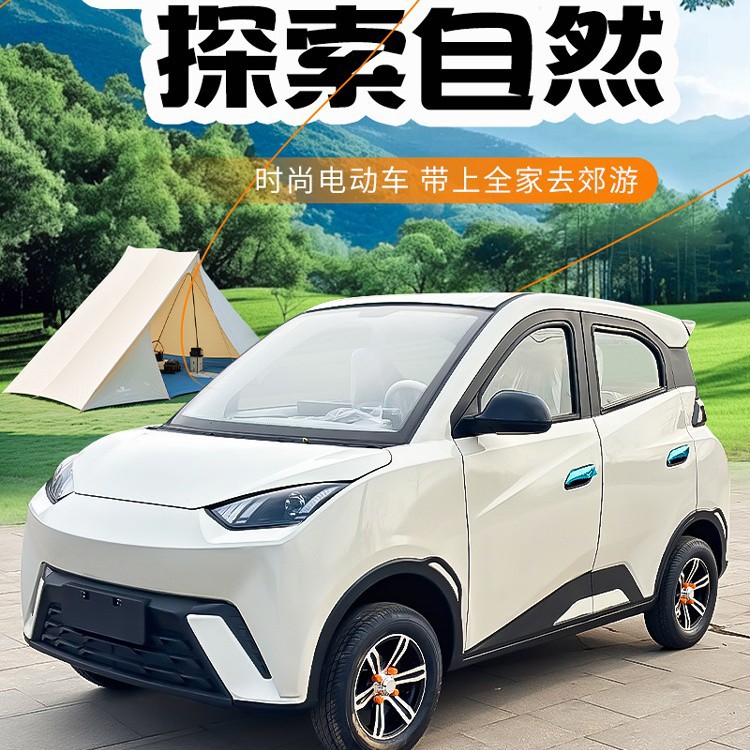 新款四轮电动车家用接送代步车上学女士新能源全封闭成年人电瓶车