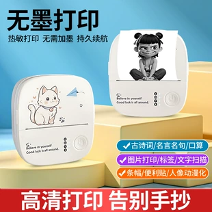 Мини-принтер для термоэтикеток Bluetooth портативный