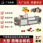 广达西梅去核机全自动西梅去籽机不锈钢材质西梅捅芯机厂家直销