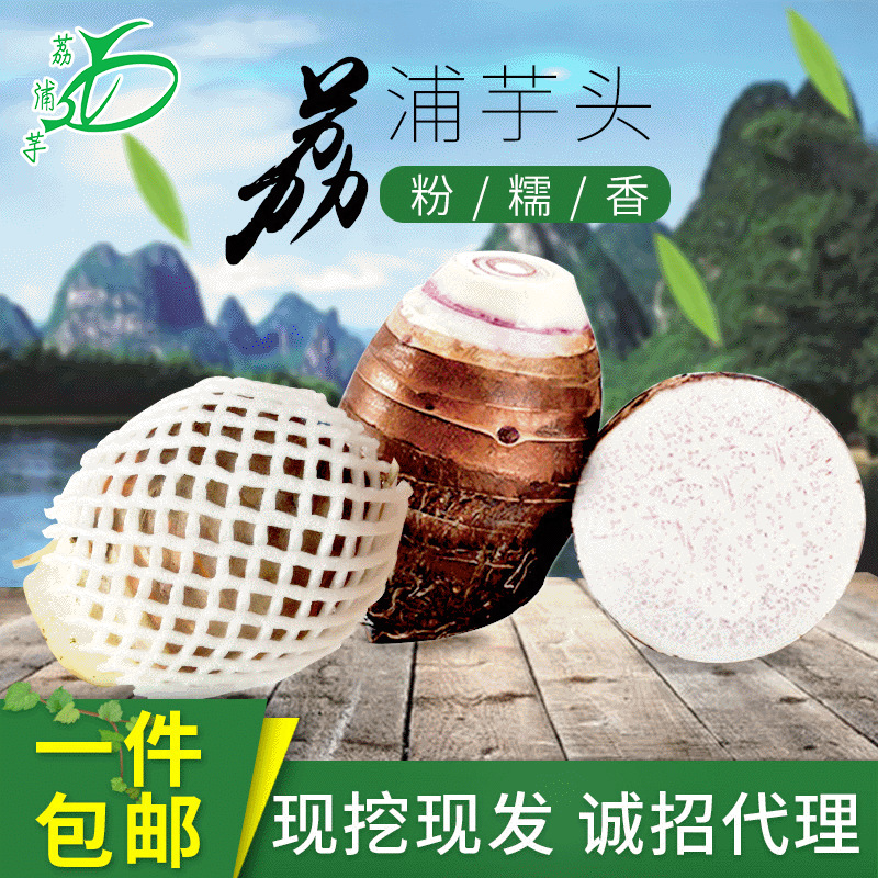 广西荔浦芋头产地 直发新鲜现挖现发槟榔芋香芋真空包装芋头块丁