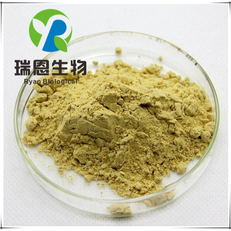 30%沙棘黄酮沙棘果提取物UV检测高含量优质现货1KG起订 免邮