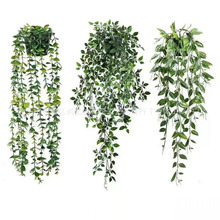 �羳����Gֲ�ȼ����ٗl����~ �����_�㶹�Ғ����� ĥɰ�b��辰