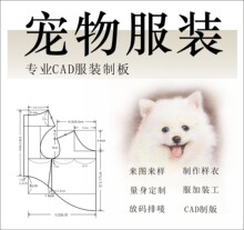 宠物衣服纸样裙子无毛猫宠物服装样制图猫狗衬衫CAD打版制作