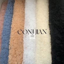 ٽzPW϶ɫ̽w佑ͯbȹ