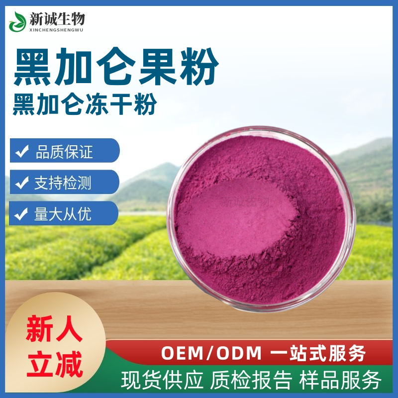 黑加仑果粉 黑加仑冻干粉 速溶黑加仑粉固体饮料原料 量大从优