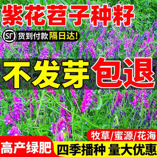 ���~�ϻ����ӷN���L��ëҰ�㶹�N�ӹ��@�G���B����Դ�ݷN��ë����