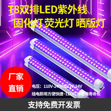 UV̻LED⾀̻365NMuvz̻ϹpQ