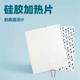 厂家可定白色硅胶加热片发热片冻干机真空冷冻干燥机加热片O EM