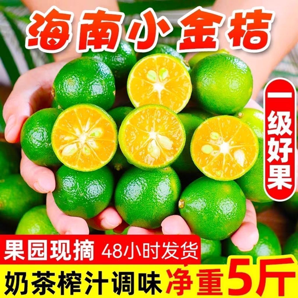 25년산 생과일 [음료 파트너] 밀크티 착즙 및 맛 - : 순중량 2.5kg [중대과일] 약 260~400개