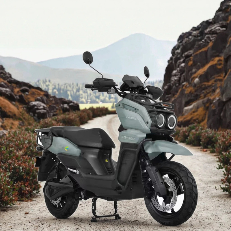 Tank Electric Bicycle, Motorcycle, Moped, Tricycle, Racing Car, Folding Bike, Brushless Motor, Battery Car