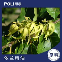 Импортный раствор эфирного масла Yilan оптом импортный производитель эфирного масла Yilan Poli импортирует эфирное масло Yilan