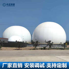 双膜气柜源头 3000立方沼气储气柜 生物质燃气柔性双膜储气罐