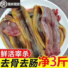 ���F���ٰl���r��Ұ���S�X�~�X�z�XƬȥ��Ͳ�X�~���޹�ȥ�c���r