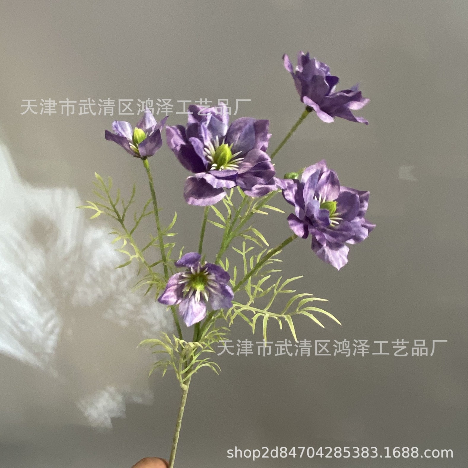 보라색