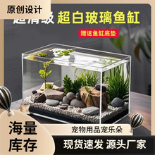超白玻璃小鱼缸小型客厅观赏小鱼造景水培植物乌龟家用方缸生态缸