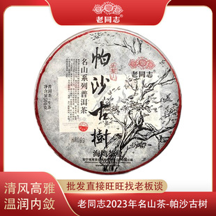 ��ͬ־�ն���2023����ɳ�Ř�500g��ɽ��ϵ�йŘ��ն�����ն�����