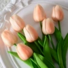 Peach powder
