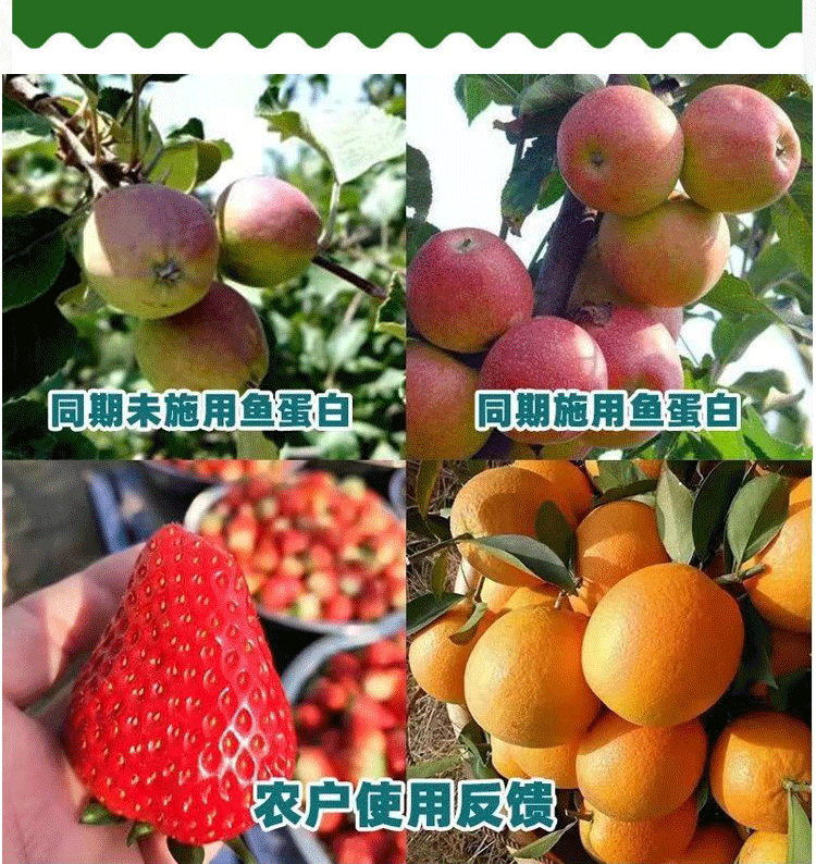 详情1-8_14.gif