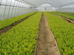 һ�����lͥԺ������~Ůؑ����Ůؑ�Ә���С�~Ůؑ�����ɭŮؑ��