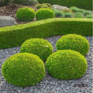 ͥԺ�G�����~Ůؑ�������Ůؑ���Θ��ļ������ͺ�С�~Ů��̫��