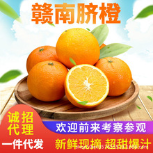【产地直发】赣南脐橙信丰脐橙新鲜水果现摘甜橙赣州橙子批发