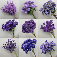 ɫϵٻcֻĽYF·廨Yõb