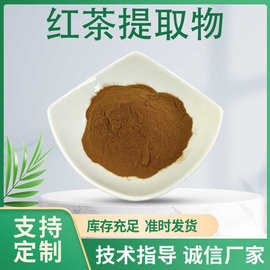 速溶红茶粉 水溶红茶提取物浓缩粉 含茶多酚 植物原料萃取粉