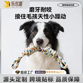 猫猫包、箱;猫猫玩具;猫厕所