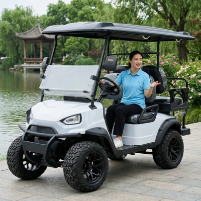 Sightseeing Vehicles, Fully Enclosed Electric Sightseeing: Elektrikli qolf avtomobilləri
